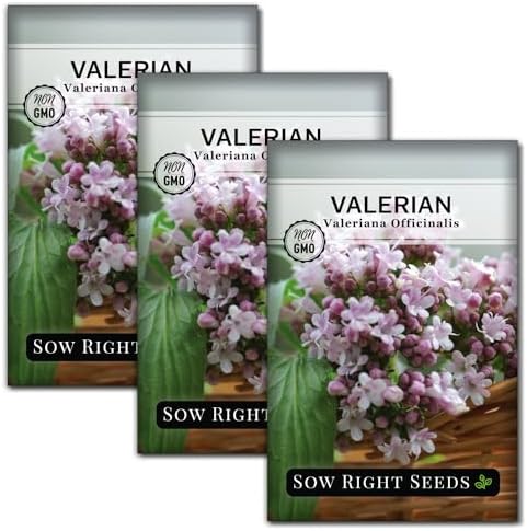 Sow Right Seeds - Valerian Seed for Planting Medicinal Perennial Herb 3pk by SowRightSeeds
