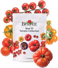 Burpee Best 10 Non-GMO Planting Tomato Seeds for Garden Gifts (1 Pack) by Burpee