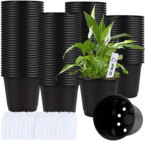 Augshy 110 Pcs 0.5 Gallon Black Plastic Plant Nursery Pots 6 Inches Seed Starting Pots Containers with 110 Labels by Augshy