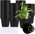 Augshy 110 Pcs 0.5 Gallon Black Plastic Plant Nursery Pots 6 Inches Seed Starting Pots Containers with 110 Labels by Augshy