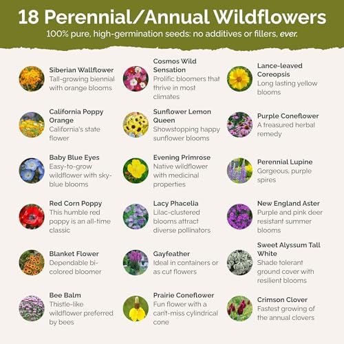 Eden Brothers The Bees Knees Pollinator Wildflower Seed Mix, 1 lb - Image 3