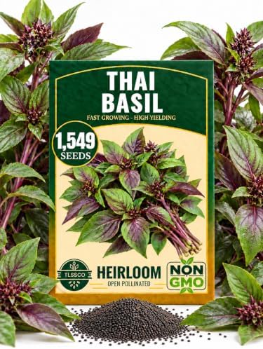 1549+ Thai Basil Heirloom Herb Seeds, Ocimum basilicum VAR. thyrsiflora by Unknown