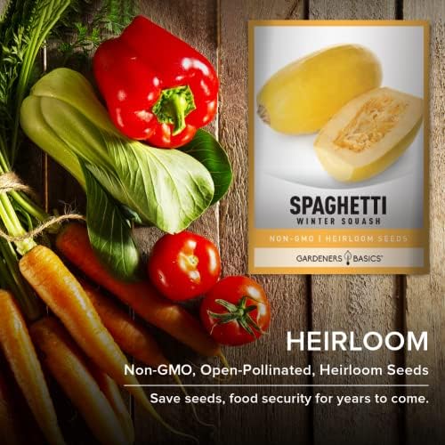 Gardeners Basics Spaghetti Squash Seeds for Planting, 2 Pack – Winter Squash Heirloom, Non-GMO Vegetable Seeds - Image 4
