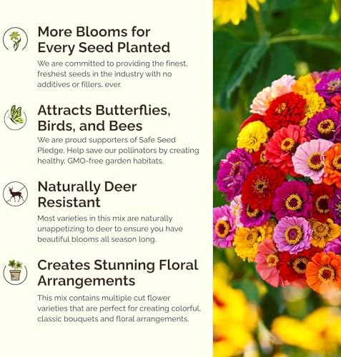 Eden Brothers Heirloom Flower Mixed Seeds for Planting, 10 lb, 4,800,000+ Seeds with Zinnia, Toadflax, Evening Primrose | Attracts Pollinators, Plant in Spring or Fall, Zones 3, 4, 5, 6, 7, 8, 9, 10 - Image 4