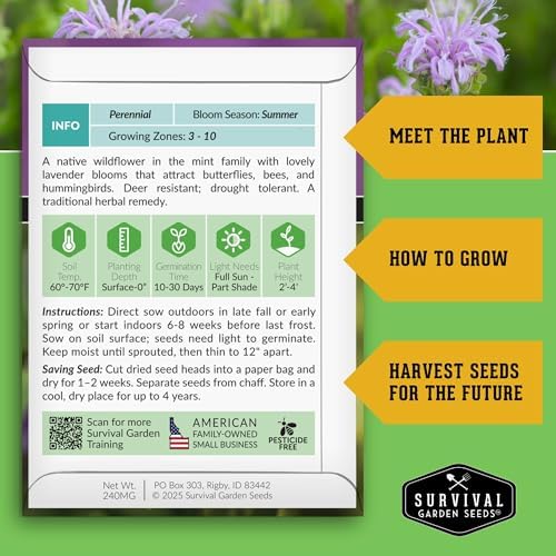 Bee Balm Seeds for Planting - Wild Bergamot Survival Garden Seeds (1 Pack) - Image 2