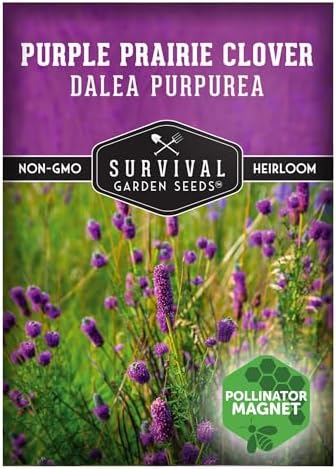 Purple Prairie Clover Seeds for Planting - 1 Pack by SurvivalGardenSeeds