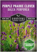 Purple Prairie Clover Seeds for Planting - 1 Pack by SurvivalGardenSeeds