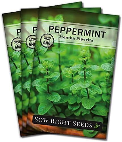 Sow Right Seeds - Peppermint Seed for Planting Perennial Herb Garden 3pk by SowRightSeeds