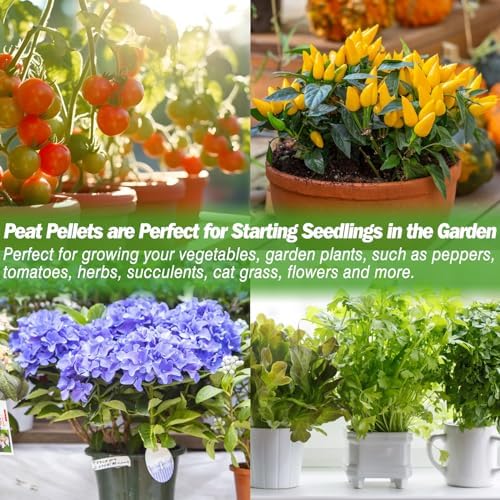 ZeeDix Peat Pellets for Seed Starting, 50 Pcs 36mm Seed Starter Soil Pods - Image 6