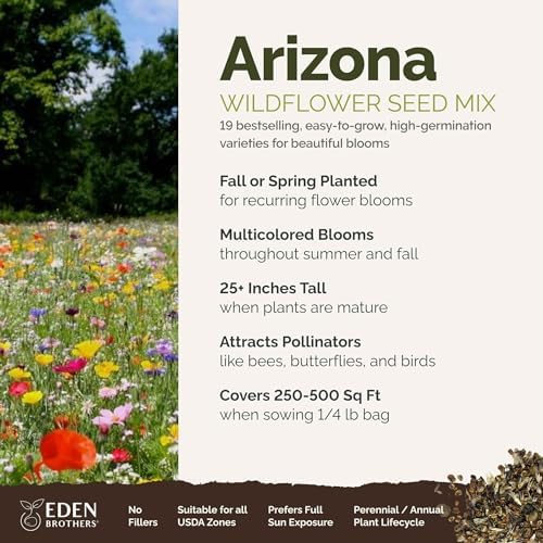 Eden Brothers Arizona Wildflower Mixed Seeds for Planting, 1/4 lb - Image 2