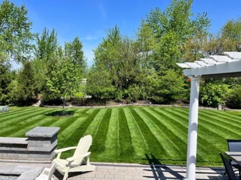 Twin City Seed Mixture Co. Blue Envy Lawn Grass Seed Mixture, 1 lb - Image 2