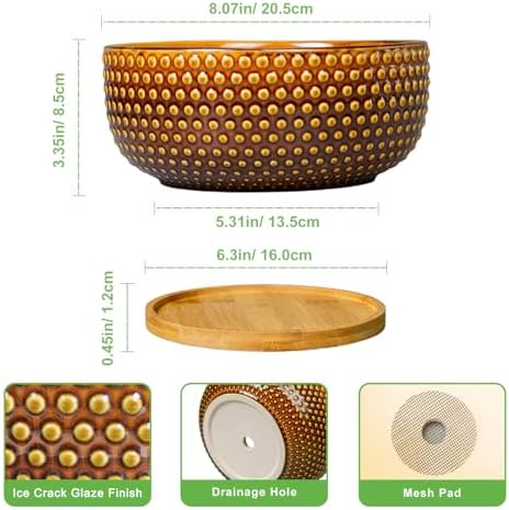 Bonsai Pots - 8 Inch Succulent Bowl for Indoor Plant, Shallow Round Ceramic Planters with Drainage Hole and Saucer, Boho Home Room Office Apartment Decor, Plant Lovers Gifts, Brown - Image 3