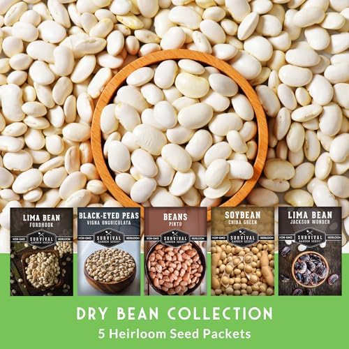 Dry Bean Seeds for Planting – 5 Varieties - Survival Garden Seeds - Image 3