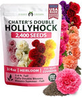 HOME GROWN Hollyhock Seeds, Chater's Double Mix, 2,400 Seeds, Alcea rosea by HOMEGROWN