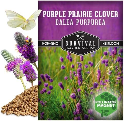 Purple Prairie Clover Seeds for Planting - 1 Pack - Image 5