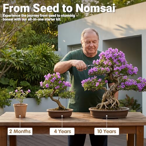 Bonsai Tree Starter Kit for Beginners 5 Unique Indoor Plants - Image 6