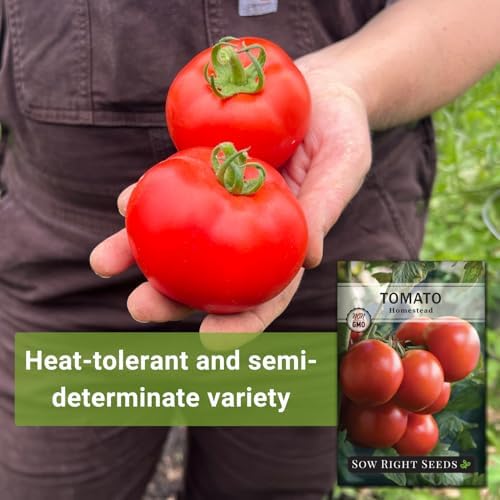 Sow Right Seeds - Homestead Tomato Seed for Planting Vegetable Garden - Image 3
