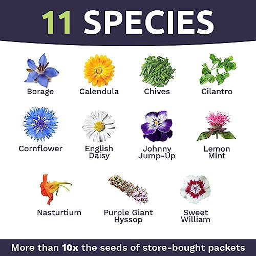 Wildflower Seeds Edible Flowers Mix - 1 Ounce Over 7,000 Open Pollinated Annual and Perennial Seeds - Image 4