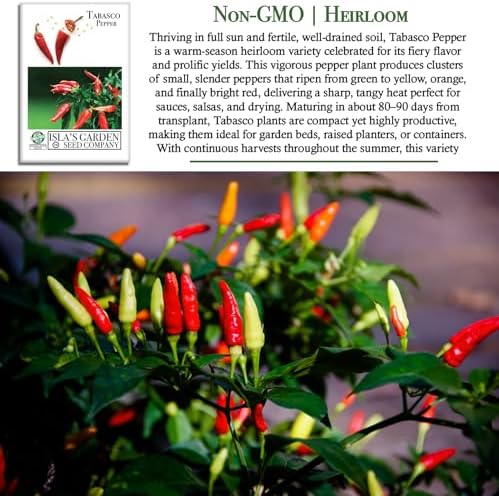 Tabasco Red Hot Chili Pepper Seeds (Capsicum frutescens) – 50+ Non-GMO Heirloom Seeds by Isla’s Garden Seeds, Fiery Compact Variety Producing Red Peppers w Bold Tangy Heat, Hot Sauces, Salsas & Drying - Image 3