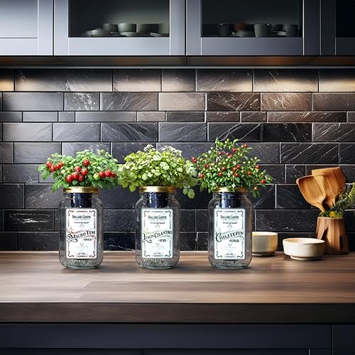 Salsa Garden Mason Jar Grow Kit (3 Pack) – Tiny Tim Tomato, Lemon Cilantro & Chiltepin Pepper – Indoor Hydroponic Herb & Vegetable Grow Kit – Windowsill Salsa Ingredient Garden - Image 2