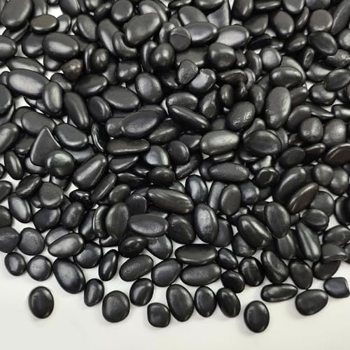 FANTIAN 2 lbs Black Pebbles for Indoor Plants, 3/8 inch Decorative Rocks, Black River Rocks for Succulent Potted Plant, Vase, Aquarium, Landscaping and Outdoor Garden Rocks by FANTIAN-GardeningMakesLifeBetter