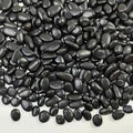 FANTIAN 2 lbs Black Pebbles for Indoor Plants, 3/8 inch Decorative Rocks, Black River Rocks for Succulent Potted Plant, Vase, Aquarium, Landscaping and Outdoor Garden Rocks by FANTIAN-GardeningMakesLifeBetter