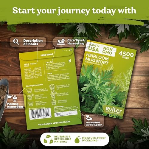 4,500 Mugwort Heirloom Herb Seeds for Planting, Artemisia Vulgaris - Image 2