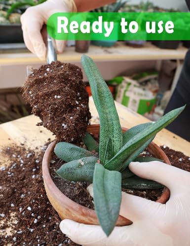 TOYPOPOR Potting Soil for All Indoor Houseplants, Contains Perlite, Peat Moss, Coco Coir and Rice Charcoal, Well Draining Potting Mix Light, Aerated Texture for Healthy Plant Roots and Fast Growth 1qt - Image 4