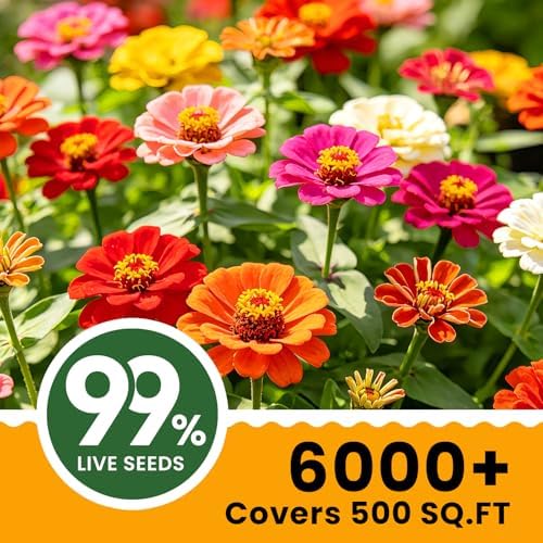Dwarf Zinnia Seeds for Planting, 5000+ Flowers Seeds, 7 Colors Mix - Image 2