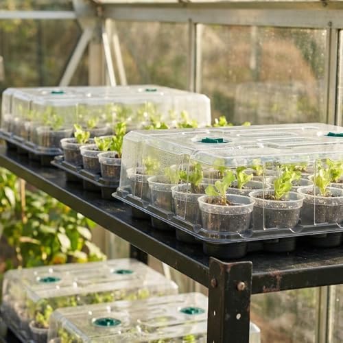 4 Pack 20 Cell Seed Starting Trays with 4 Vented Humidity Domes - Image 5