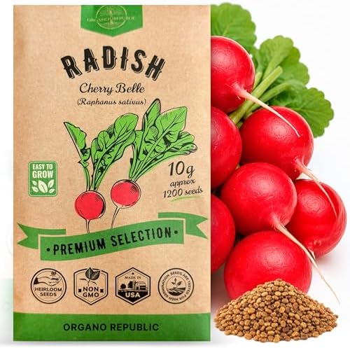 Cherry Belle Radish Seeds Pack 10 G - Over 1200 Non-GMO Heirloom Radish Seeds for Planting Vegetables in Individual Seed Packet, Vegetable Seeds for Planting Home Garden Indoor & Outdoor Gardening by OrganoRepublic