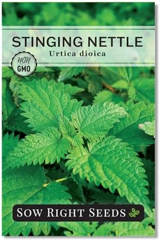 Sow Right Seeds - Stinging Nettle Seed for Planting Perennial Medicinal by SowRightSeeds
