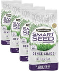 Pennington Smart Seed Dense Shade Grass Mix Bag 7 lb (Pack of 4) by Pennington