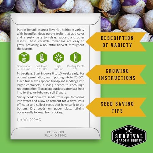 Purple Tomatillo Seeds for Planting - 1 Pack - Image 2