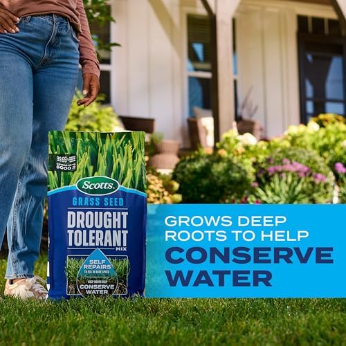 Scotts Grass Seed Drought Tolerant Mix, 10 lbs. - Image 4