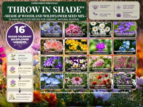 Wildflowers for Shade – Throw in Shade™ – 16-Species Shade-Tolerant Wildflower Seed Mix with Baby Blue Eyes for Partial Shade & Low-Light Gardens – 2 oz Covers 400 Sq Ft – Paper Street Perennials® - Image 3