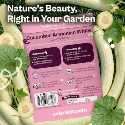 SVI 50 Armenian Cucumber Seeds (Cucumis melo) – Long White Cucumber Seed Packets, Climbing Cucumbers – Heirloom Vegetable Seeds for Trellis Home Garden Outdoor, Raised Beds, Containers - Image 2