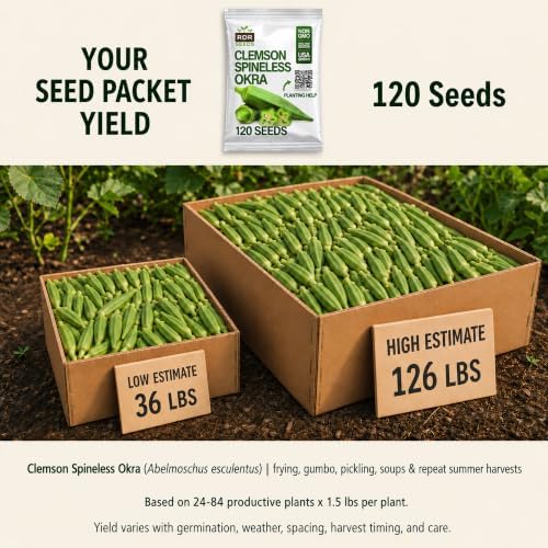 120 Clemson Spineless Okra Seeds for Planting - Heirloom, Non-GMO, USA Grown Seeds in Premium Waterproof Packaging - Lady's Finger, Gumbo, Bhindi by RDR Seeds - Image 2