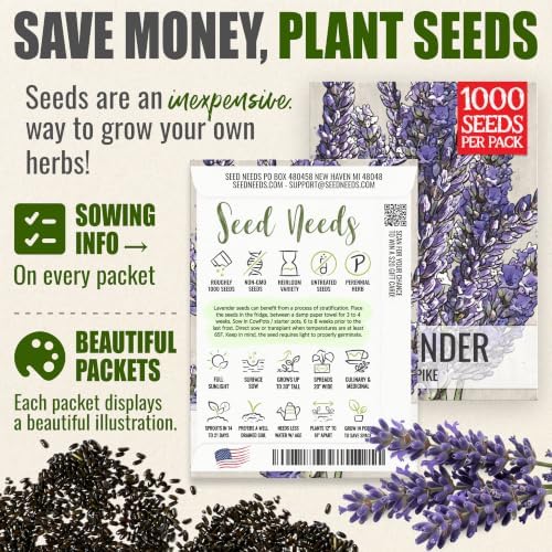 Seed Needs Spike Lavender Seeds to Plant an Herb Garden - 2 Packs - Image 3