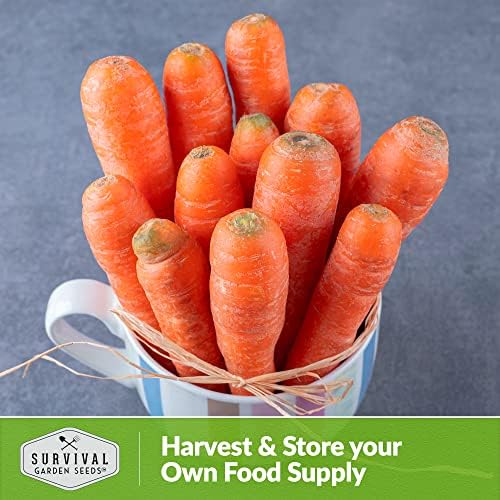 Danvers Carrot Seeds for Planting - Survival Garden Seeds (3 Packs) - Image 5