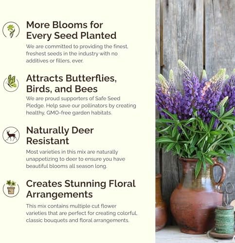 Eden Brothers Midwest All Perennial Wildflower Mixed Seeds, 1/4 lb - Image 4