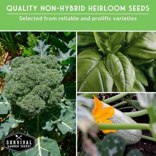 Vegetable Seeds 12 Variety Pack for Planting - Survival Garden Seeds - Image 5