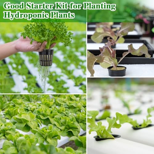 Halatool 24 x 2 Rockwool Cubes & 24 x 3 Net Cups Hydroponic Starter Kit - Image 7