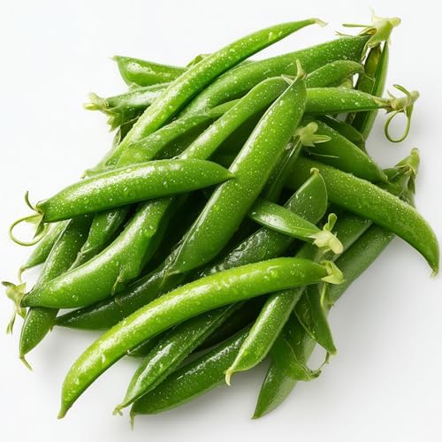 75 Sugar Daddy Snap Pea Seeds for Planting - Stringless, No-Trellis Bushy Vines, Heirloom, Non-GMO, USA Grown by RDR Seeds by RDRSeeds