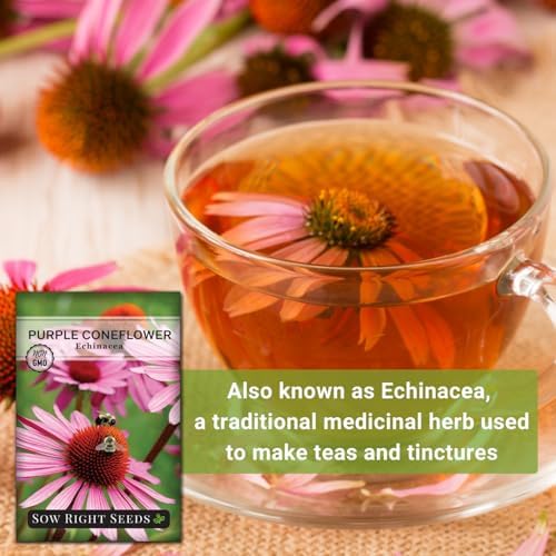 Sow Right Seeds - Purple Coneflower Seed for Planting Perennial Wildflower - Image 5