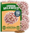 HOME GROWN Common Milkweed 150 Flower Seeds Asclepias syriaca by HOMEGROWN