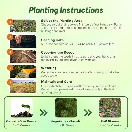 Outsidepride Partial Shade Wild Flower Seed Mix for All States - 1/4 lb. Premium Blend of Annual & Perennial Wildflowers, Perfect for Partial Shade Areas, & Outdoor Planting for Gardens & Lawns - Image 5