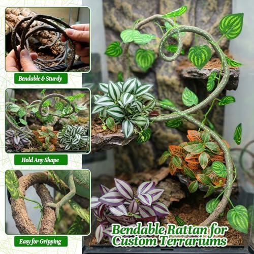 5 Pcs Reptile Plants & Habitat Decor Kit - 3 Artificial Hanging Plants & Large 3.3ft Jungle Vine Branch, Terrarium Tank Climbing Accessories for Crested Gecko, Bearded Dragon, Lizard, Snake, Chameleon - Image 6