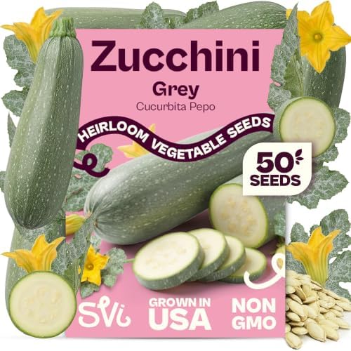 SVI 50 Grey Zucchini Heirloom Vegetable Seeds Cucurbita Pepo Home Garden by SVI