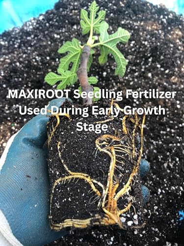 Organic Seedling Solution, Liquid Fertilizer for Seedlings, Cuttings & Clones – Natural Seaweed & Fish-Based Plant Food for Strong Root Growth. 32 oz - Image 4
